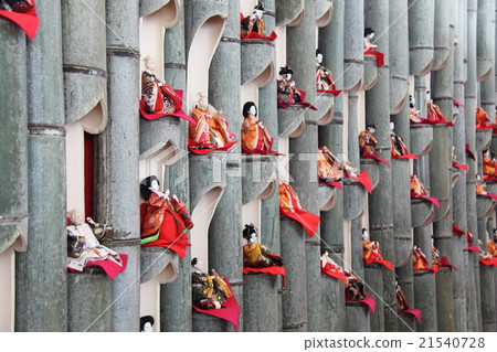 Hina Matsuri 21540728