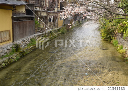[京都] G園的街道和櫻花 21541183