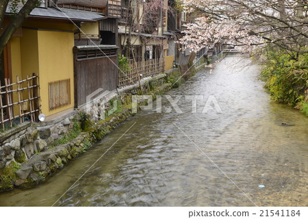 [京都] G園的街道和櫻花 21541184