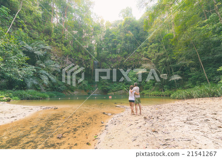 Rainforest natural pool 21541267