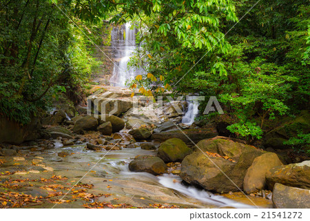 Waterfall and stream in the rainforest of Borneo Waterfall and stream in the rainforest of Borneo 21541272