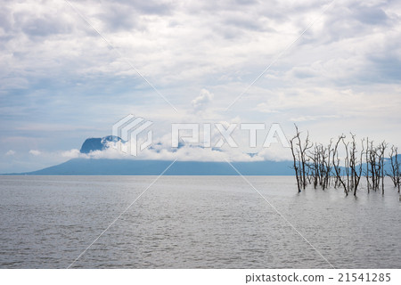 Landscape of Bako National Park, Malaysian Borneo 21541285