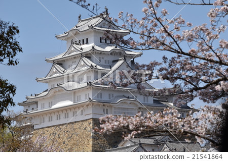 Himeji Castle and Sakura 21541864