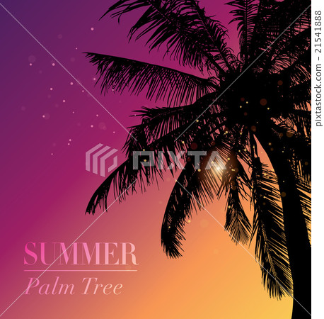 Coconut palm tree silhouette. Vector. 21541888
