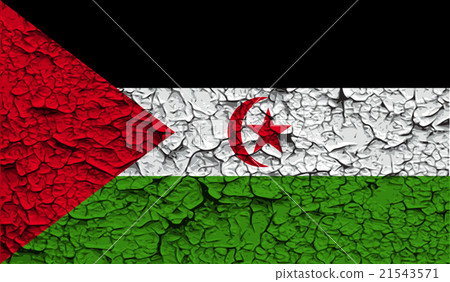 Flag of Western Sahara with old texture. Vector 21543571