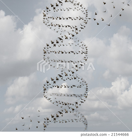 DNA In Nature 21544666