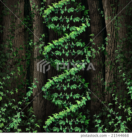 DNA Nature DNA Nature 21544668