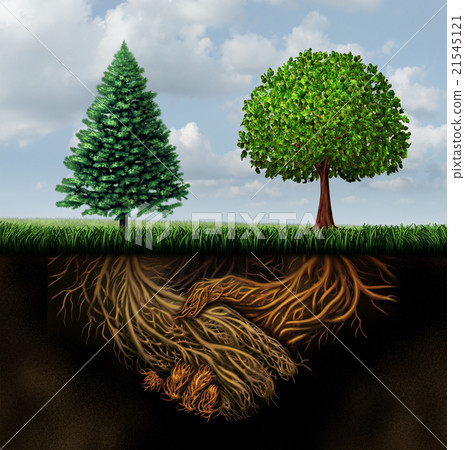 Global Agreement 21545121