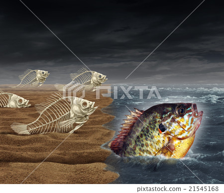 Go All The Way 21545168