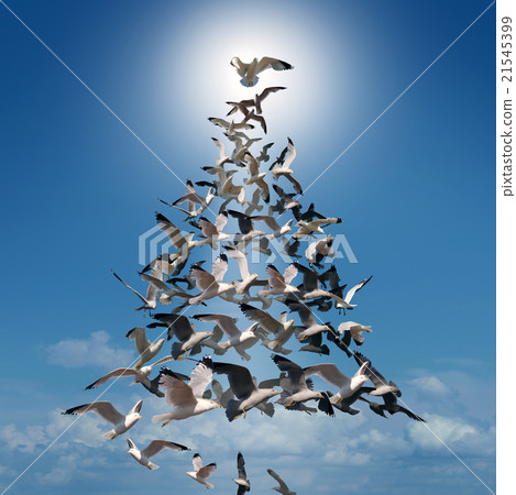 Holiday Tree Of Hope 21545399