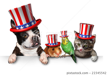 Independence Day Pets 21545542