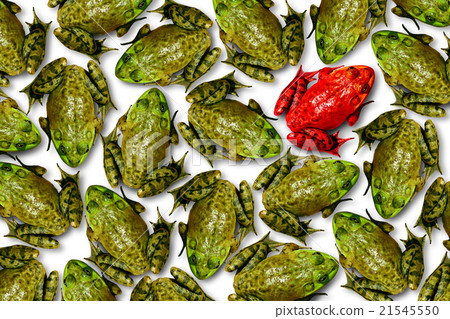 Individuality Concept 21545550