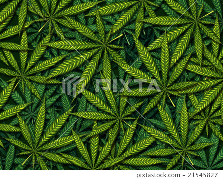 Marijuana leaves Background 21545827