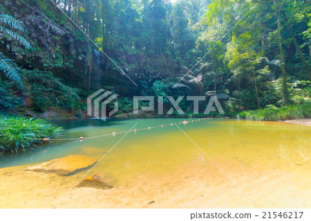 Rainforest natural pool and waterfall Rainforest natural pool and waterfall 21546217