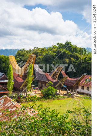 Traditional Toraja village in idyllic landscape 21546244