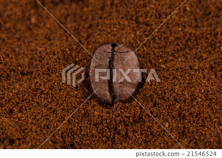 Coffee bean on powder closeup Coffee bean on powder closeup 21546524