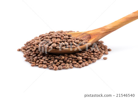 Lentils Isolated on White Background 21546540
