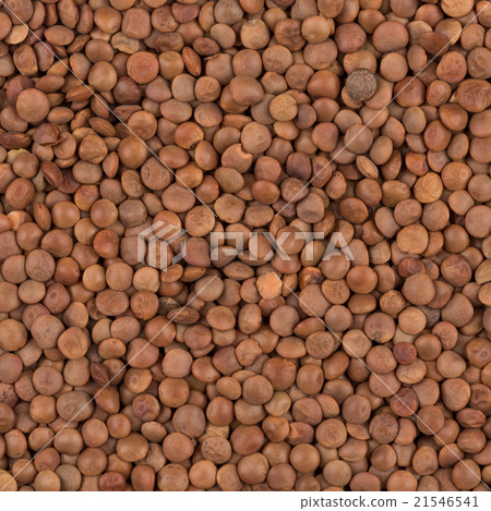 Picture of brown lentils over flat surface Picture of brown lentils over flat surface 21546541