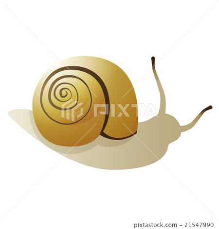 蝸牛 21547990