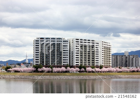 Apartment in cherry blossoms 21548162