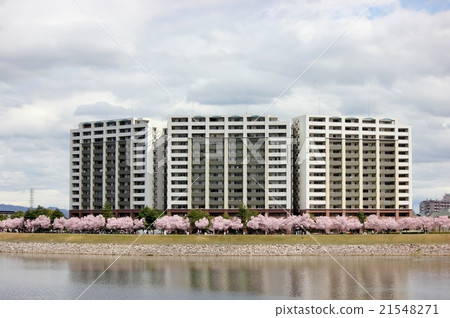 櫻花公寓 21548271