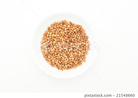 Mahaleb(野櫻桃):Mahleb,整個 Mahaleb(野櫻桃):Mahleb,整個 21548660