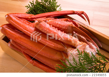 煮雪蟹 煮雪蟹 21549855