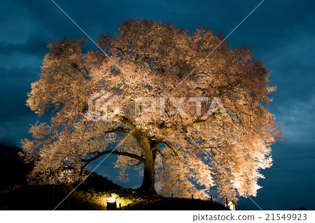 三洋嬰兒床 三洋嬰兒床 21549923