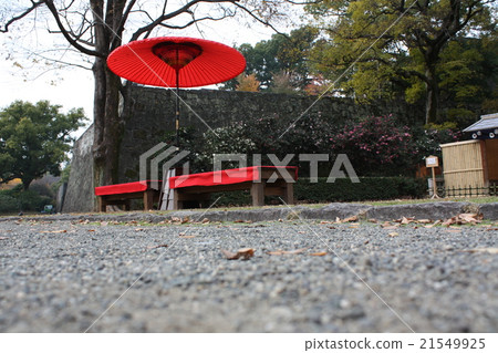 Umbrella 21549925