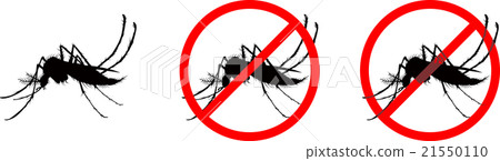 蚊子 蚊子 21550110