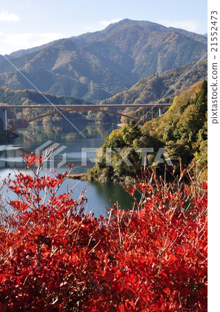 Fall Miyagase Lake Fall Miyagase Lake 21552473