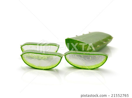 aloe vera fresh leaf. isolated over white 21552765
