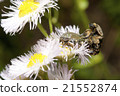 Hanam grip mating 21552874