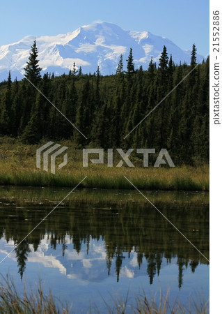 Denali reflected on the lake surface 21552886