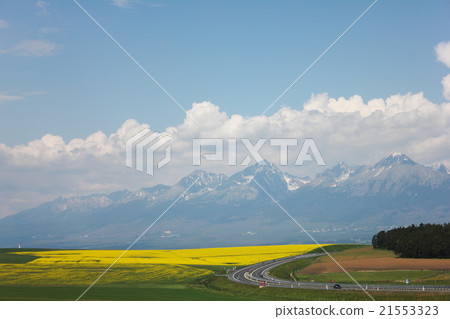 Tatra Spring 21553323
