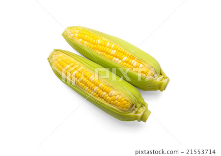 Corn on white background Corn on white background 21553714