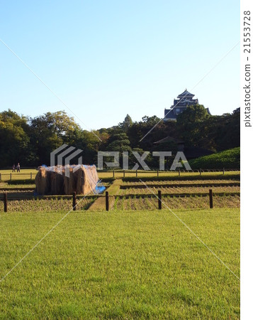 Autumnal day Okayama Korakuen 21553728