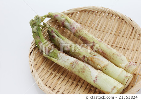 山烏多 山烏多 21553824