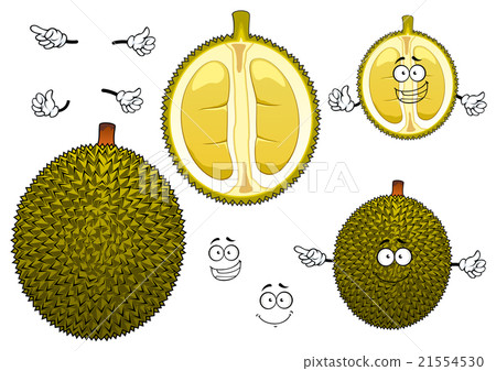 Thai smelly green durian fruit 21554530