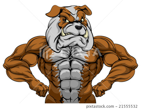 Bulldog Sports Mascot 21555532