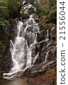 Shiraito瀑布 21556044