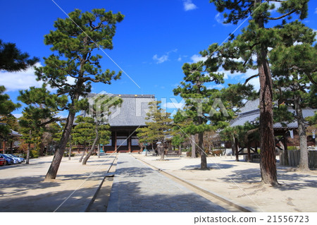 Millionaitai Temple Millionaitai Temple 21556723