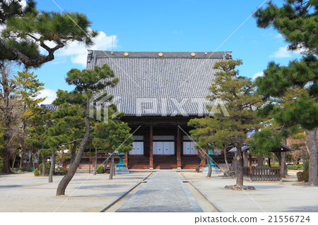百萬泰泰寺 21556724