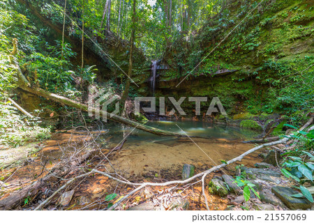 Rainforest natural pool 21557069