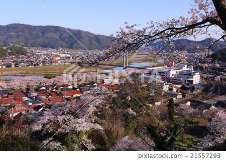 Kuji的城鎮景觀 21557293