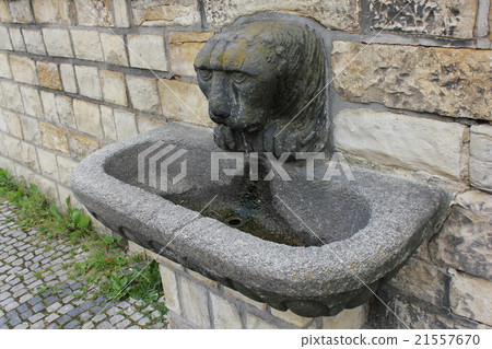 Lion head fountain sculpture 7918 21557670