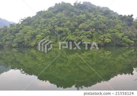 慈湖倒影 21558124