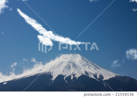 鷹的雲和富士山 21559136