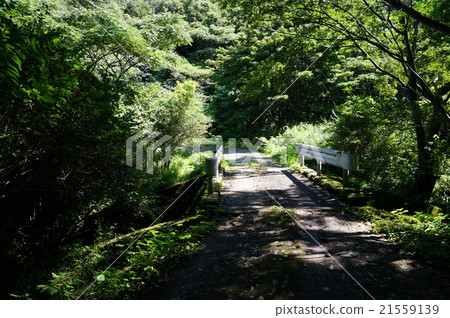 Narrow bridge Narrow bridge 21559139