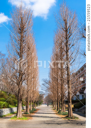 Residential streets sidewalks Residential streets sidewalks 21559523